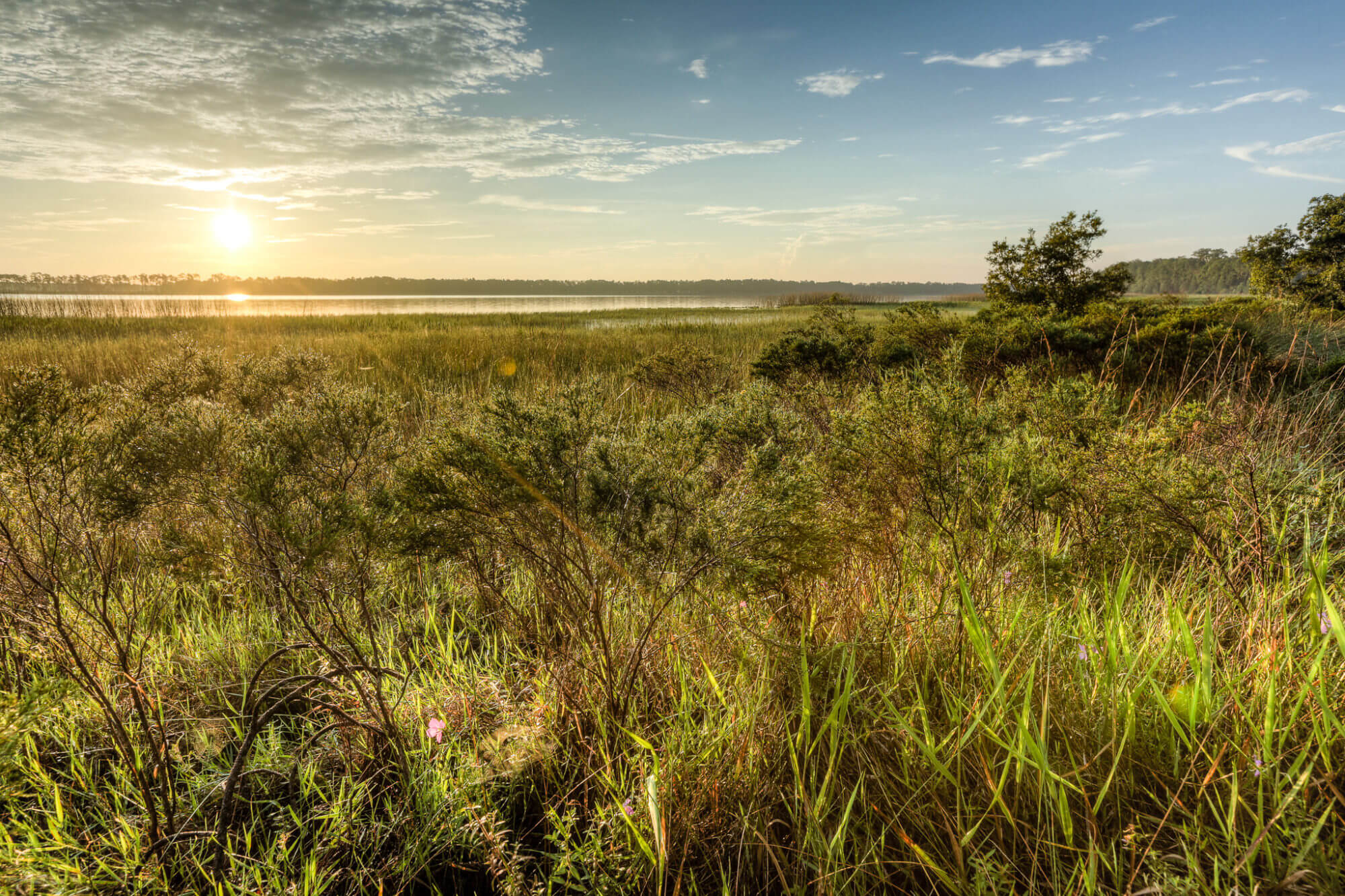 Announcing the First Sunbridge Builder and Neighborhood as Del Webb Looks to Expand its Footprint